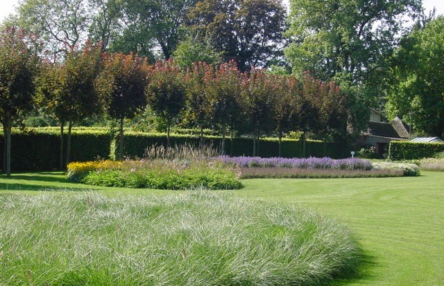 Hoveniersbedrijf G.Weultjes Landschappelijke tuin Beekbergen siergrassen.jpeg
